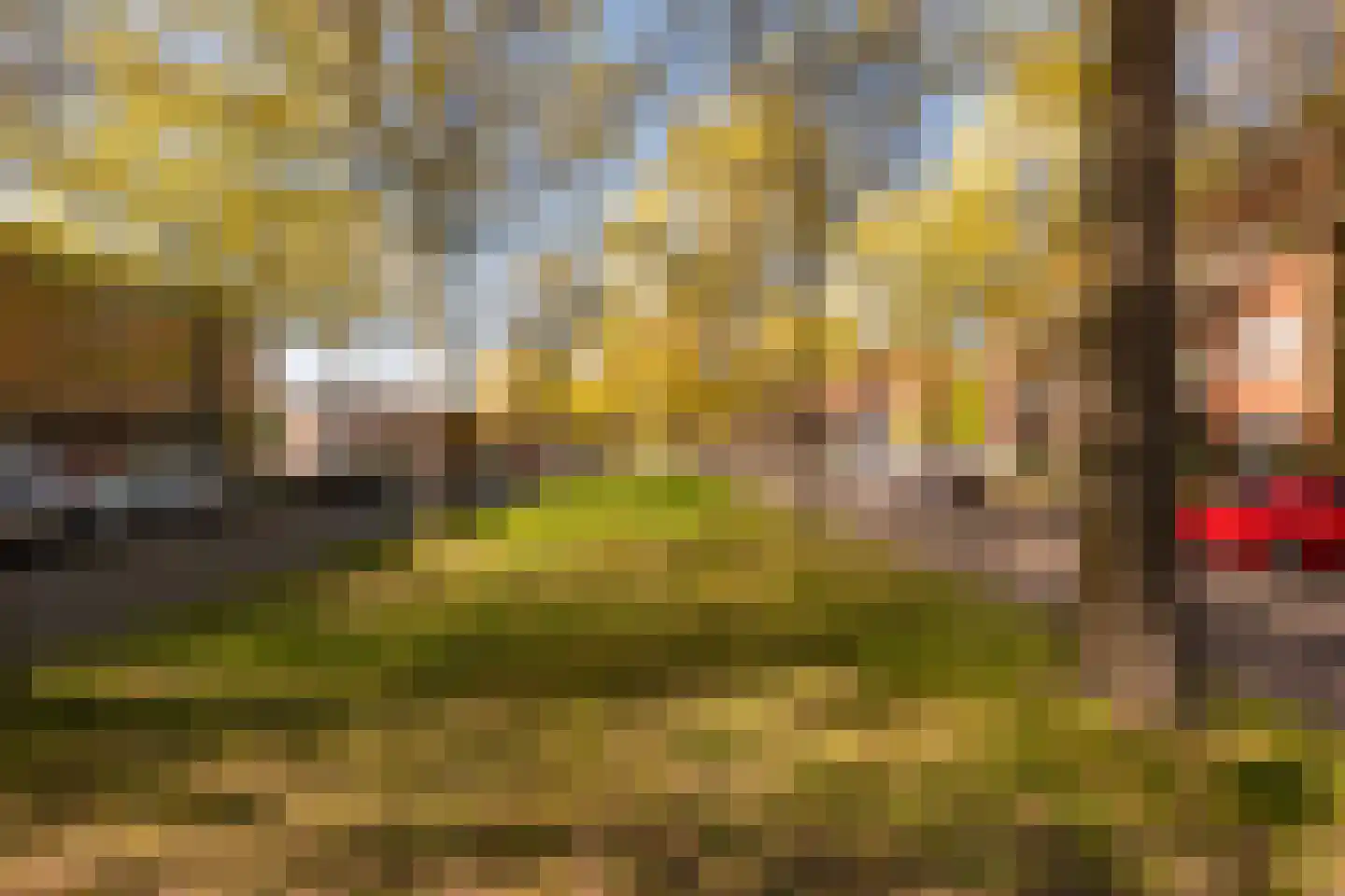 Laan van Vlaanderen 141 A 9 Amsterdam thumbnail 17