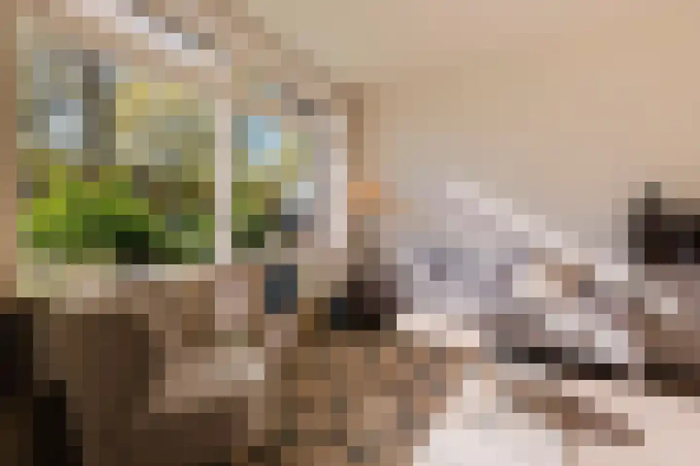 Laan van Vlaanderen 141 A 9 Amsterdam thumbnail 5