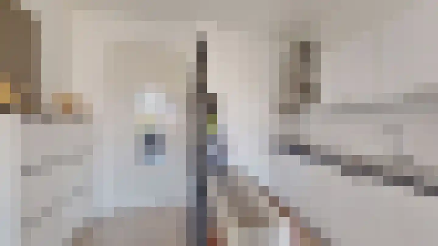 Laan van Vlaanderen 141 B 7 Amsterdam thumbnail 12