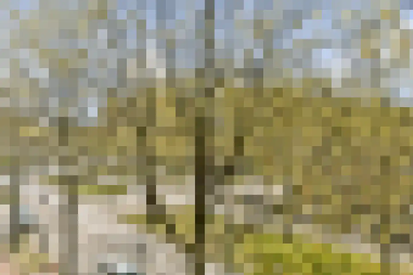 Laan van Vlaanderen 141 C 4 Amsterdam thumbnail 15