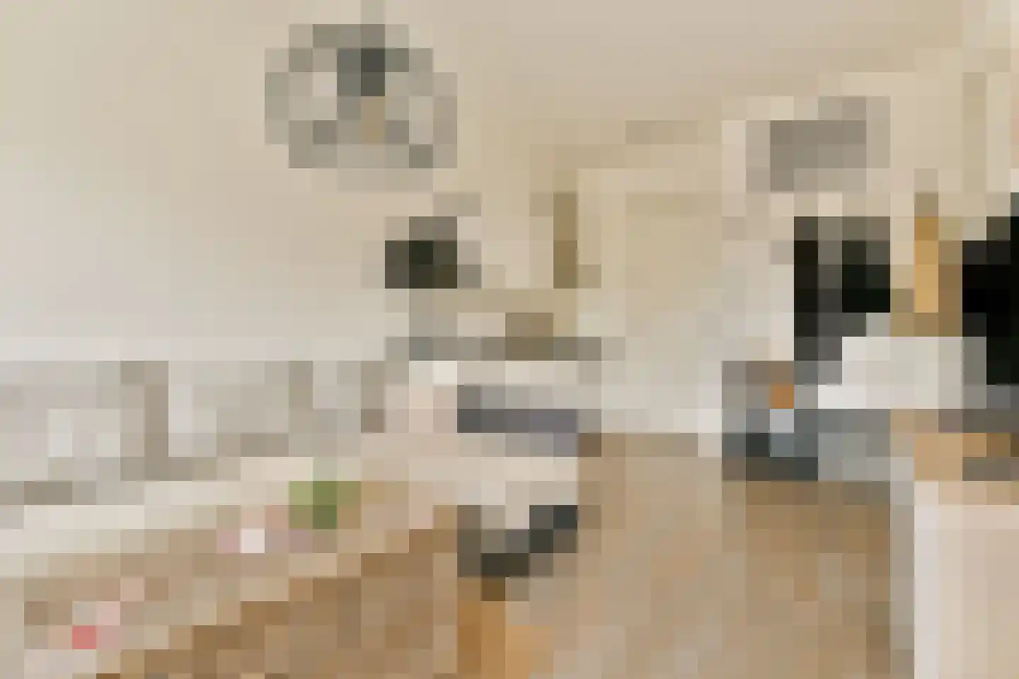 Laan van Vlaanderen 141 C 4 Amsterdam thumbnail 7