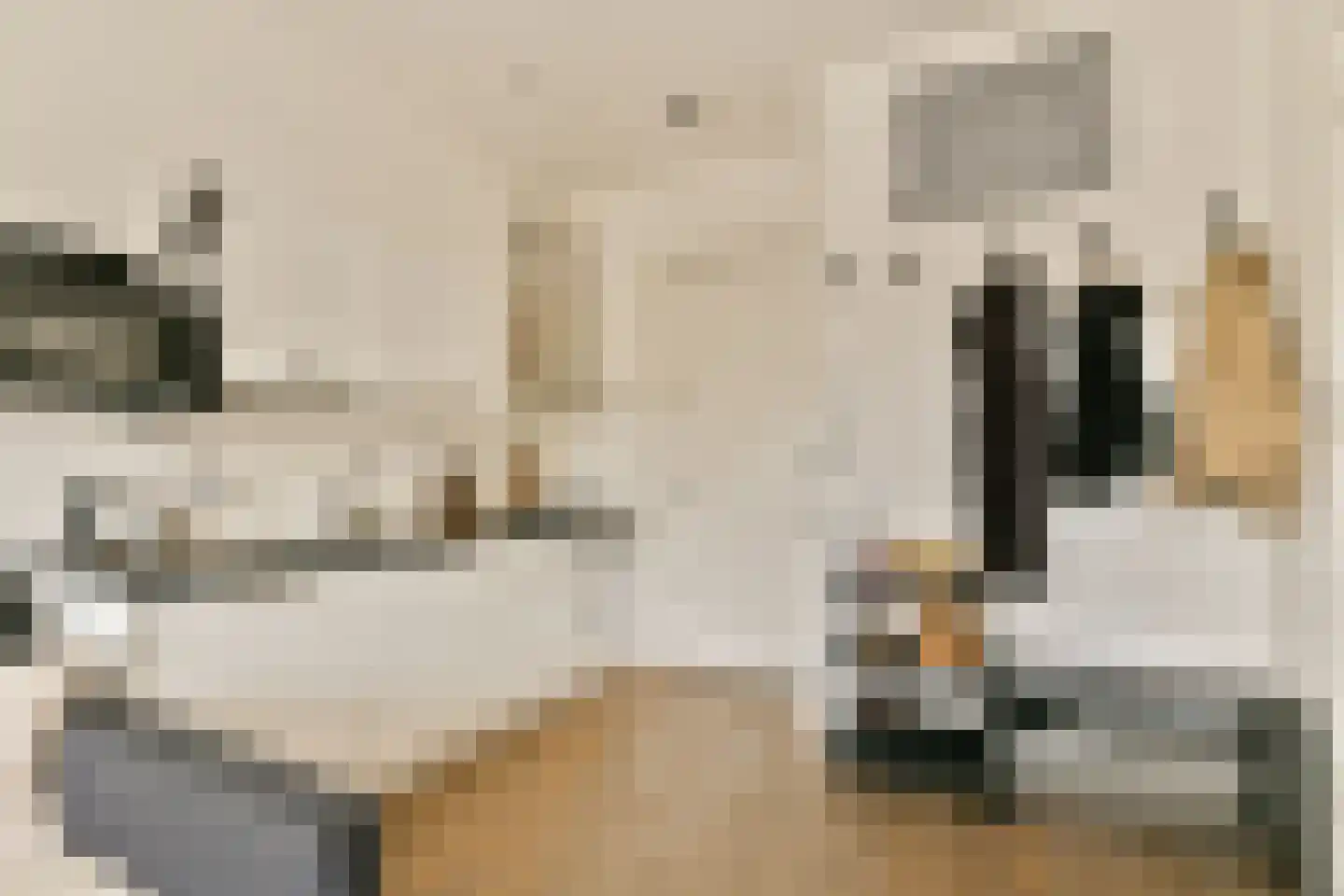 Laan van Vlaanderen 141 C 4 Amsterdam thumbnail 9