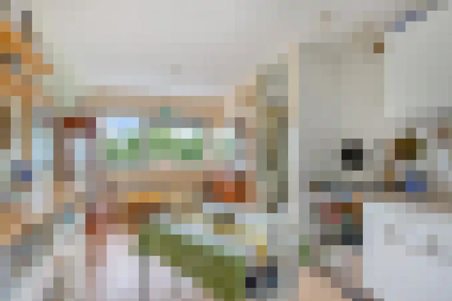Laan van Vlaanderen 208 Amsterdam thumbnail 10