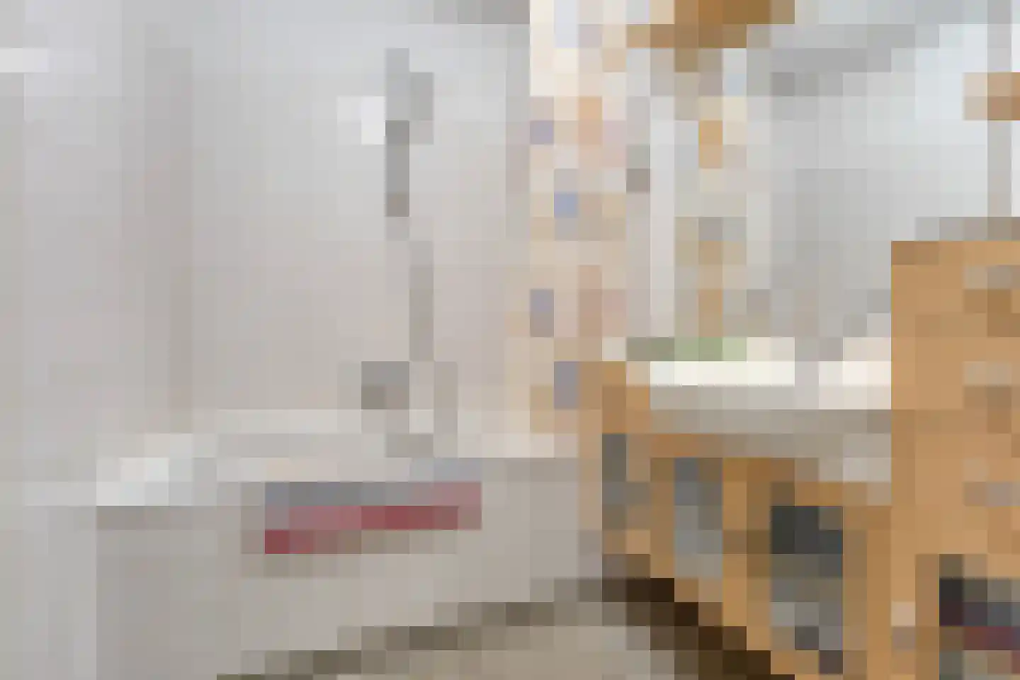 Laan van Vlaanderen 208 Amsterdam thumbnail 20