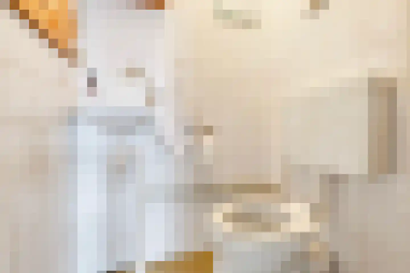 Laan van Vlaanderen 208 Amsterdam thumbnail 23