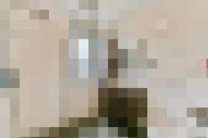 Laan van Vlaanderen 614 Amsterdam thumbnail 12