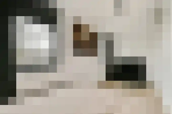 Laan van Vlaanderen 614 Amsterdam thumbnail 13