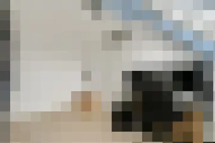 Laan van Vlaanderen 614 Amsterdam thumbnail 17