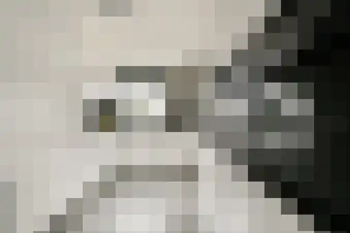 Laan van Vlaanderen 614 Amsterdam thumbnail 5