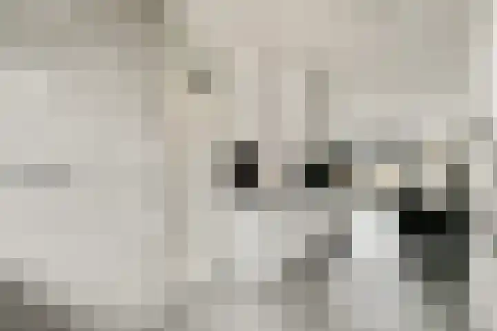 Laan van Vlaanderen 614 Amsterdam thumbnail 6
