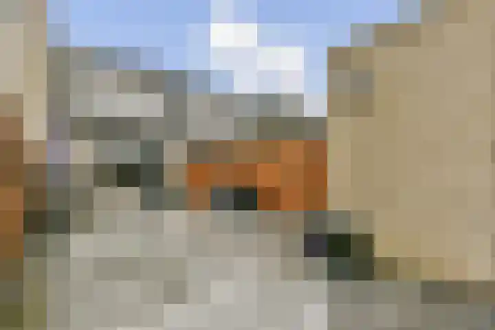 Laan van Vlaanderen 614 Amsterdam thumbnail 8