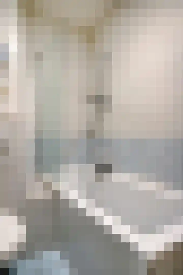 Laan van Vollenhove 1008 Zeist thumbnail 18