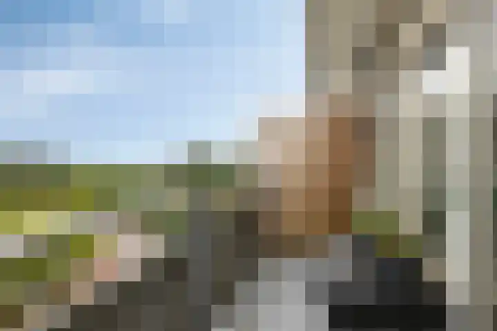 Laan van Vollenhove 1008 Zeist thumbnail 19