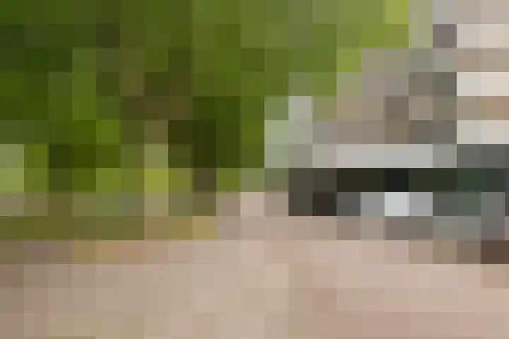 Laan van Vollenhove 1008 Zeist foto 2