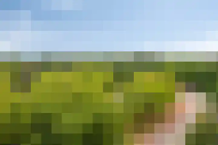Laan van Vollenhove 1008 Zeist thumbnail 20