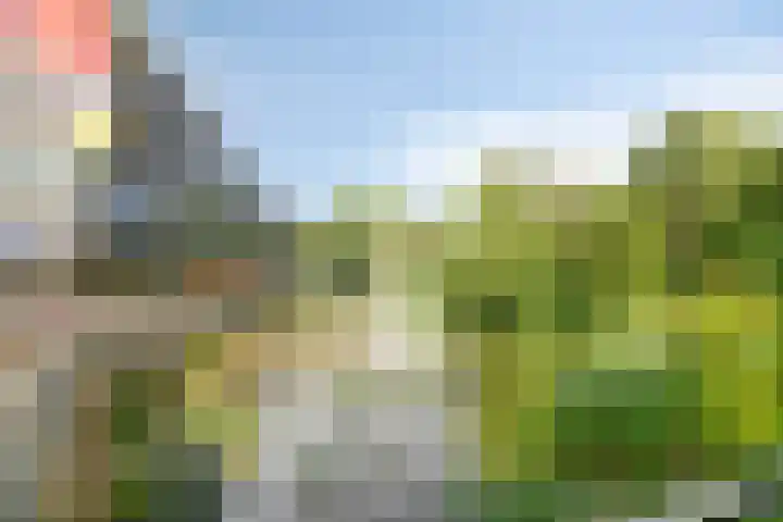 Laan van Vollenhove 1008 Zeist thumbnail 21