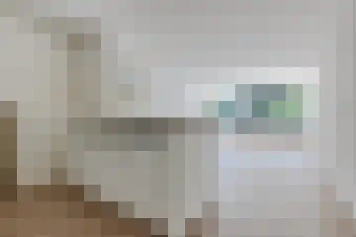 Laan van Vollenhove 108 Zeist thumbnail 12