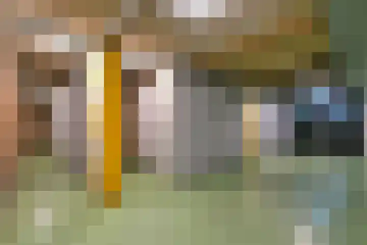 Laan van Vollenhove 108 Zeist thumbnail 22