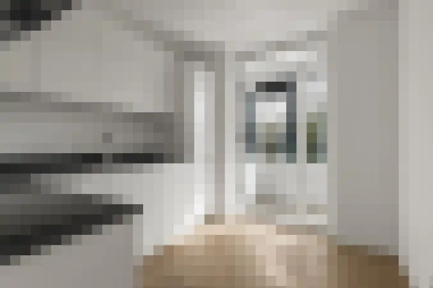 Laan van Vollenhove 118 Zeist thumbnail 25