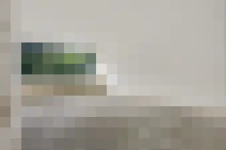 Laan van Vollenhove 136 Zeist thumbnail 16