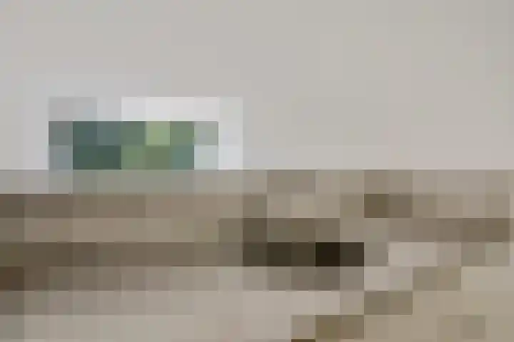 Laan van Vollenhove 136 Zeist thumbnail 19