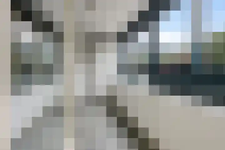 Laan van Vollenhove 136 Zeist thumbnail 20