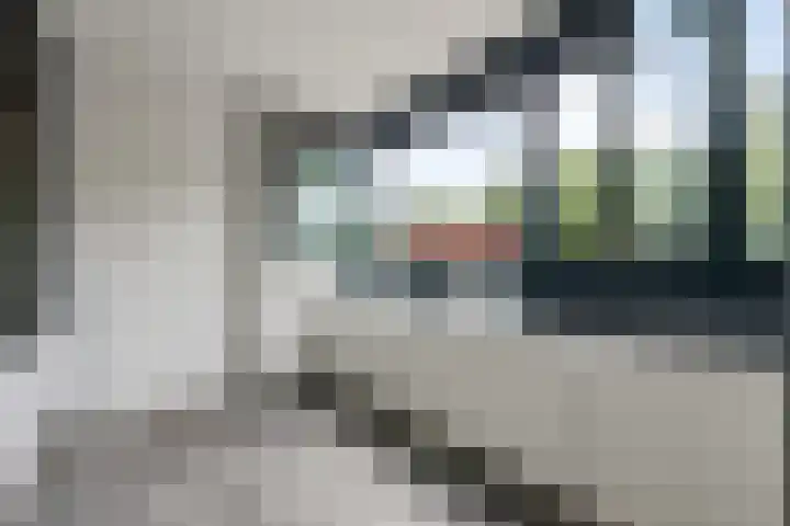 Laan van Vollenhove 136 Zeist thumbnail 22