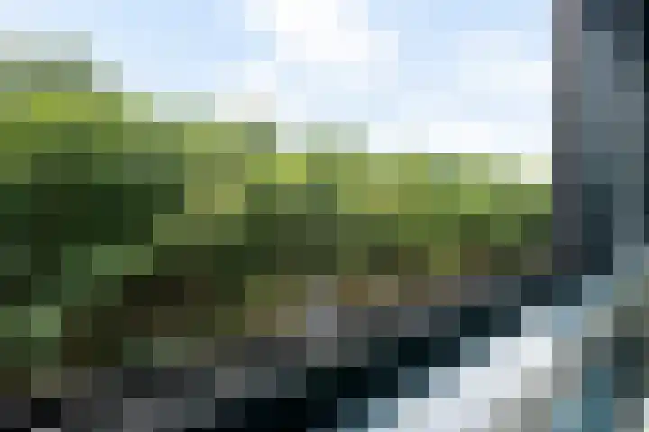 Laan van Vollenhove 136 Zeist thumbnail 23