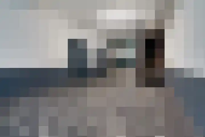 Laan van Vollenhove 136 Zeist thumbnail 24
