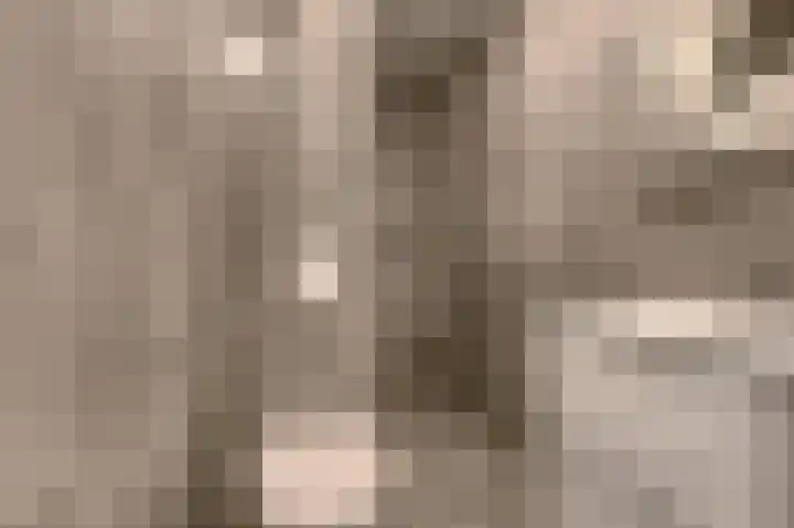 Laan van Vollenhove 154 Zeist thumbnail 24