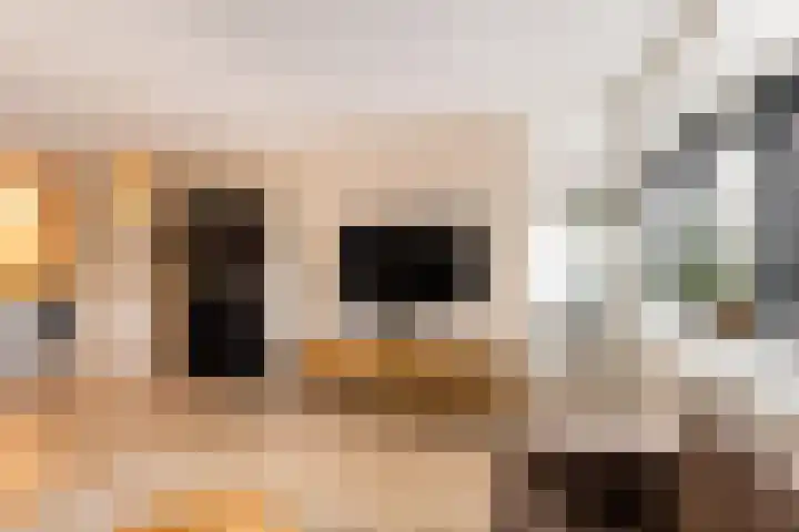 Laan van Vollenhove 160 Zeist thumbnail 15