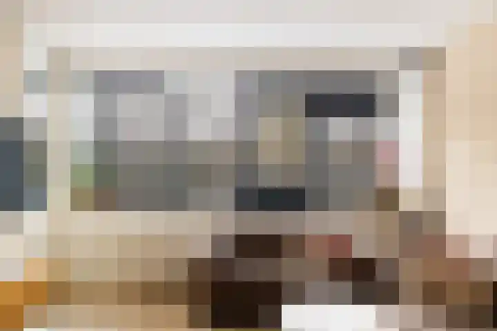 Laan van Vollenhove 160 Zeist thumbnail 17