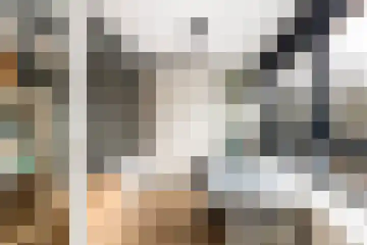 Laan van Vollenhove 160 Zeist thumbnail 20