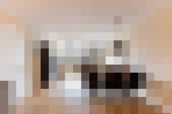 Laan van Vollenhove 160 Zeist thumbnail 23