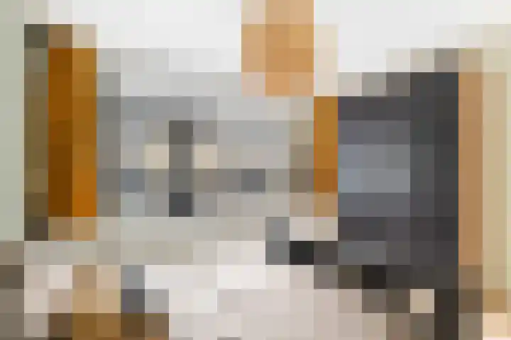Laan van Vollenhove 160 Zeist thumbnail 32