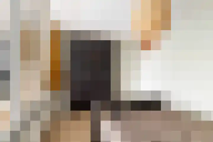 Laan van Vollenhove 160 Zeist thumbnail 33