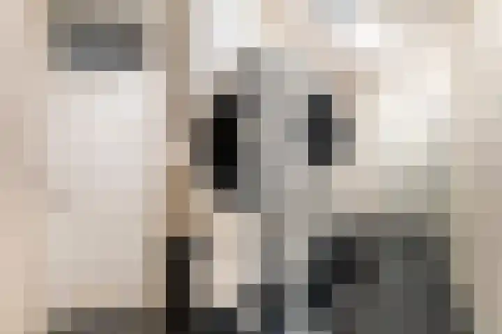 Laan van Vollenhove 160 Zeist thumbnail 36