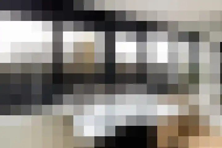 Laan van Vollenhove 160 Zeist thumbnail 4