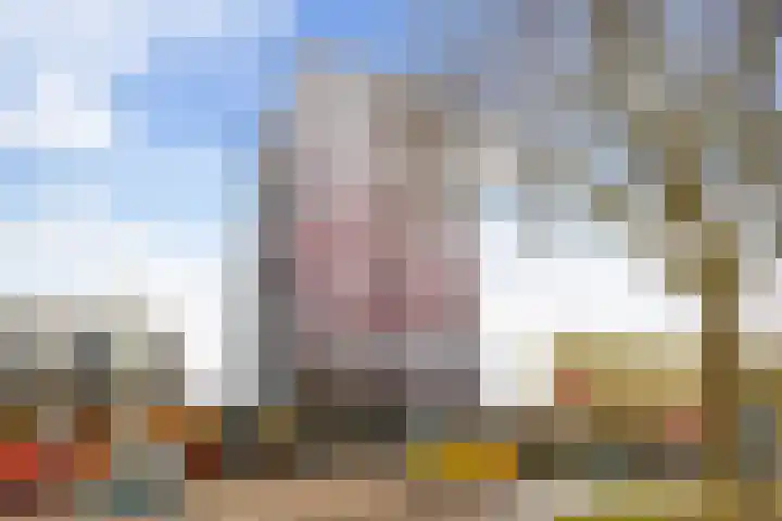 Laan van Vollenhove 160 Zeist thumbnail 40