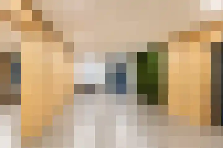 Laan van Vollenhove 160 Zeist thumbnail 7