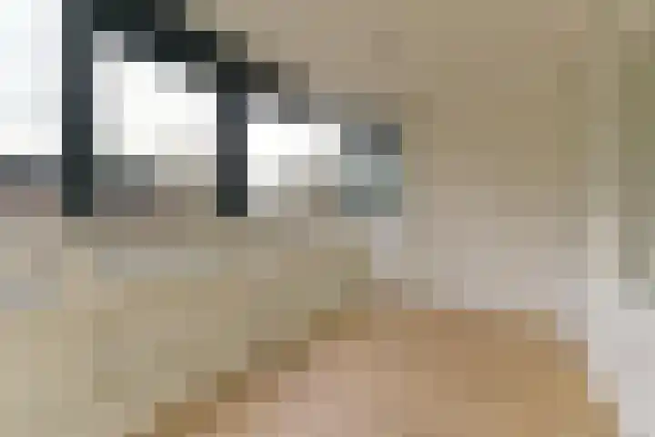 Laan van Vollenhove 18 Zeist thumbnail 11