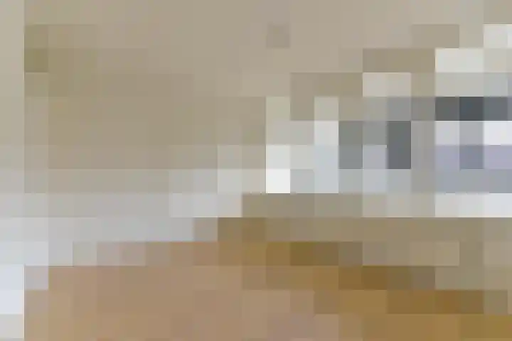Laan van Vollenhove 18 Zeist thumbnail 19