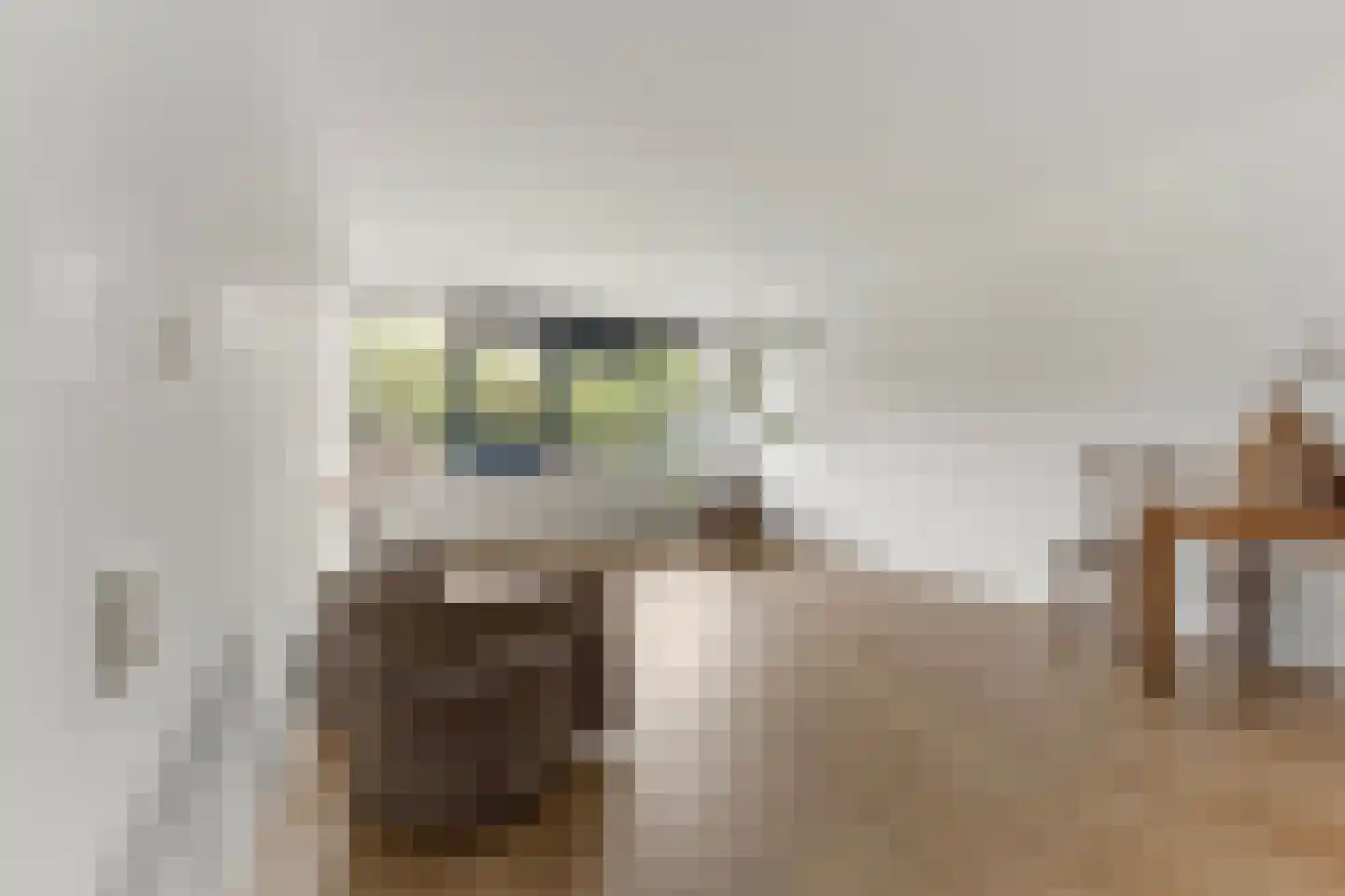 Laan van Vollenhove 180 Zeist thumbnail 14