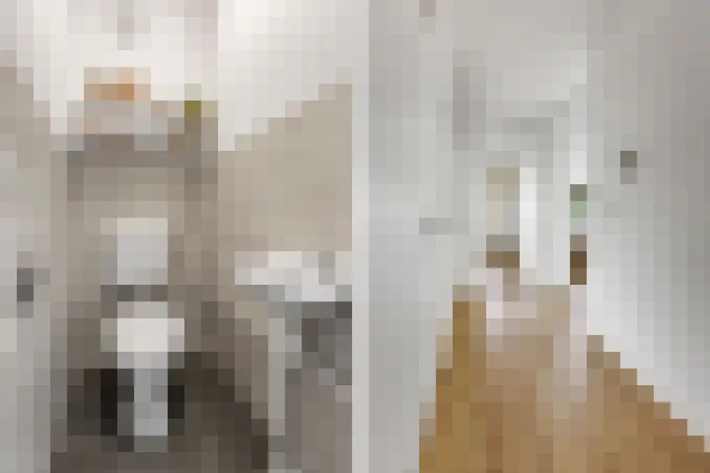 Laan van Vollenhove 180 Zeist thumbnail 21