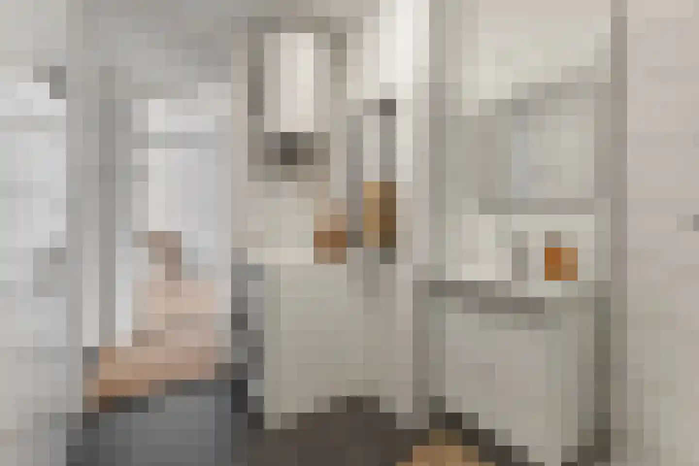 Laan van Vollenhove 180 Zeist thumbnail 27