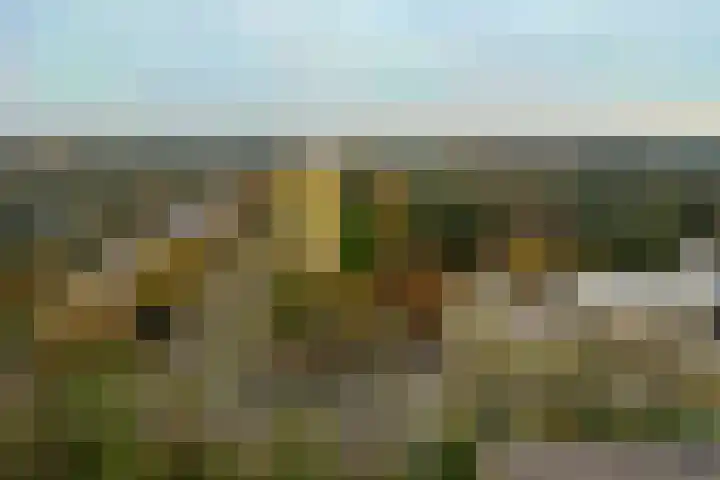 Laan van Vollenhove 190 Zeist thumbnail 22