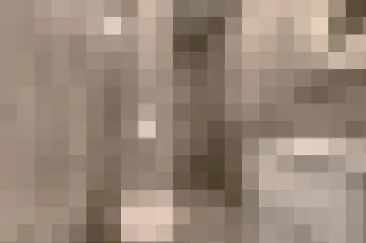 Laan van Vollenhove 190 Zeist thumbnail 24
