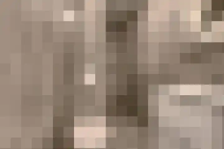 Laan van Vollenhove 210 Zeist thumbnail 24
