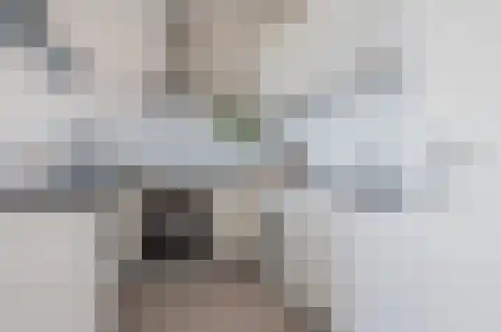 Laan van Vollenhove 210 Zeist thumbnail 31