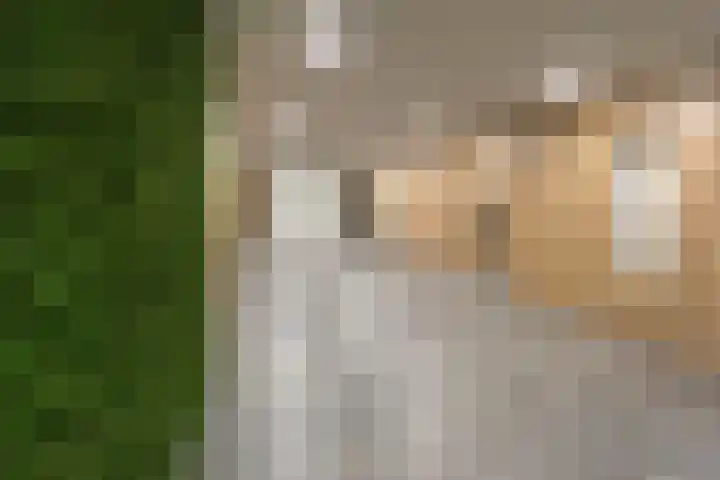 Laan van Vollenhove 210 Zeist thumbnail 7
